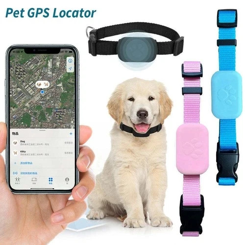 Pet cat dog gps - cat, locator