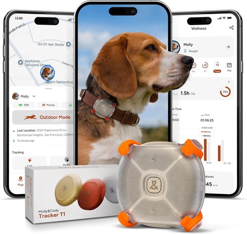 Smart dog cat gps tracker - dog,