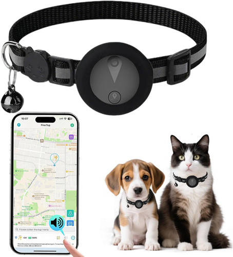 Cat gps tracker - cat, no