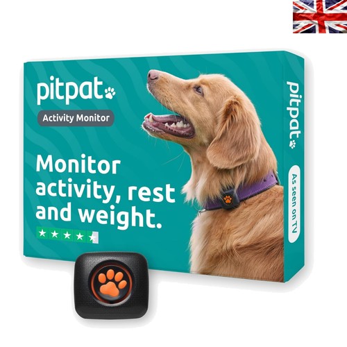 All one dog fitness monitor - all-in-one,