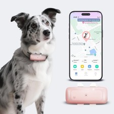 Cat Tracker 4G GPS Pet Tracker
