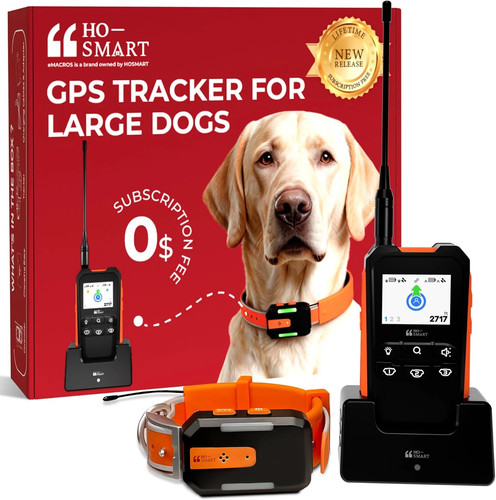 Gps dog tracker - dog, no