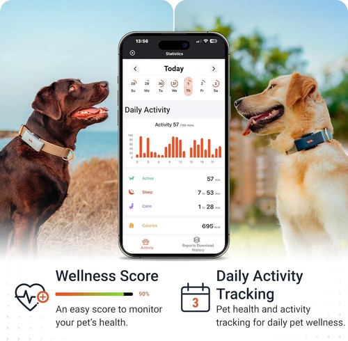 Waterproof dog tracker - waterproof, 4g