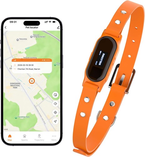 Gps dog tracker - dog, collar
