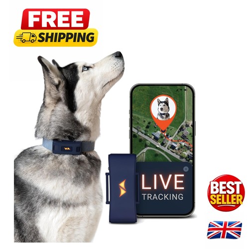 Blue dog tracker - tracker, with