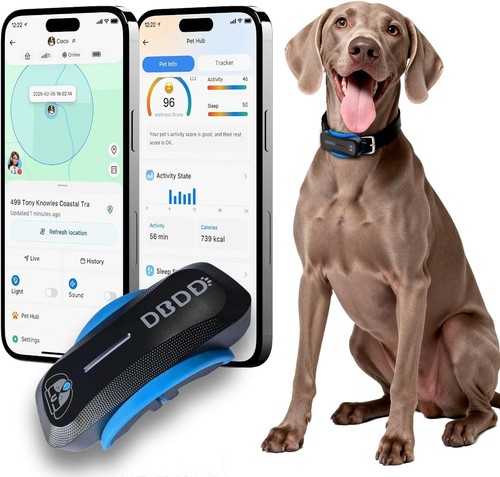 Smart gps tracker - smart, dogs