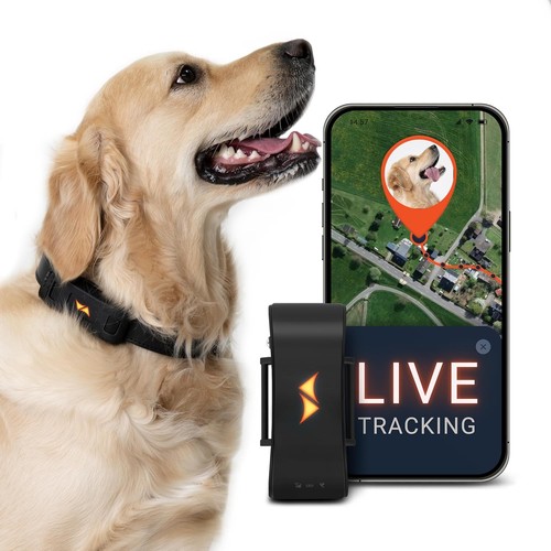 Compact dog gps - gps,