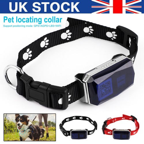 Pet gps tracker collar - gps, cat