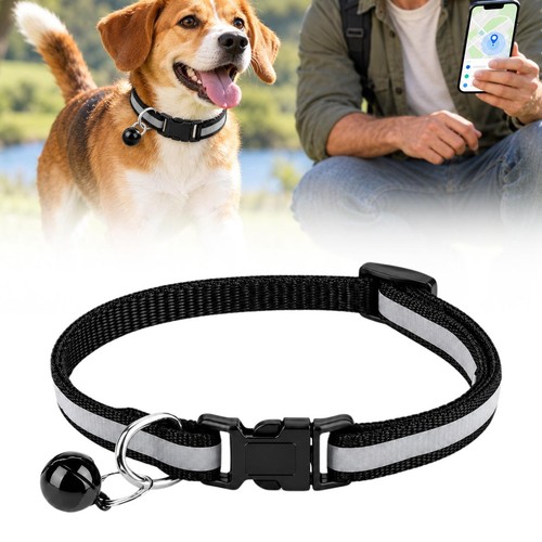 Gps pet tracker - pet, dog
