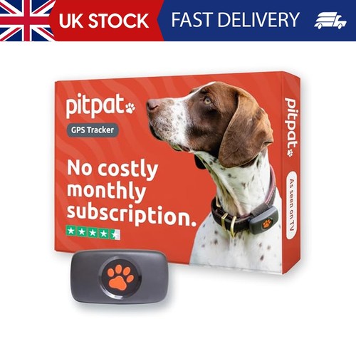 Pitpat gps dog tracker - dog, no