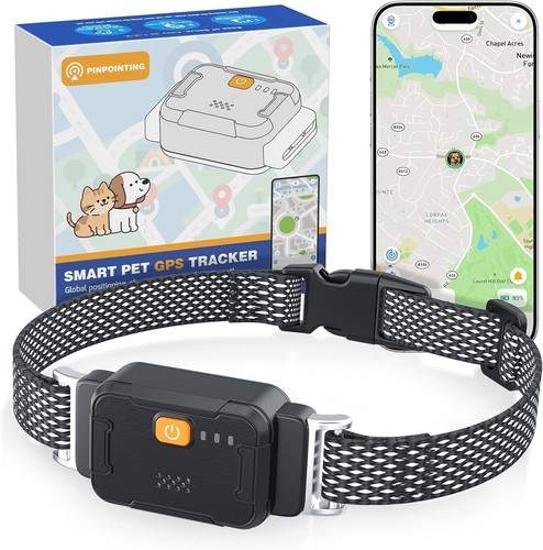 Dog gps tracker monthly - dog, no