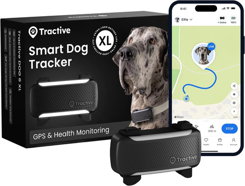 Smart dog tracker 2026 - dog,