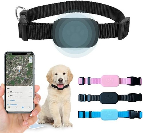 Pet cat dog gps - cat, locator