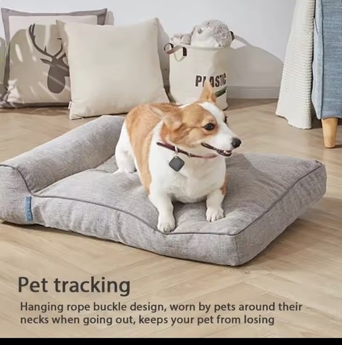 Dog pet tracker - dog,