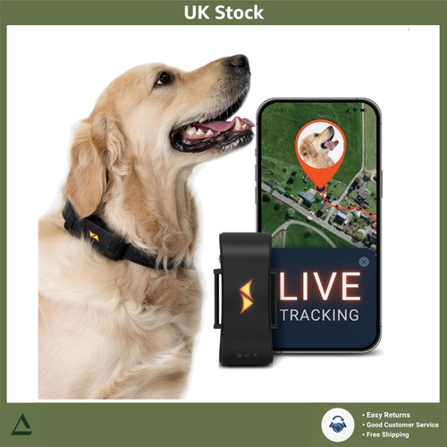 Gps dog tracker - dog, live