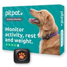Dog Activity And Fitness