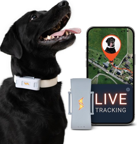 Ultimate grey dog tracker - ultimate,