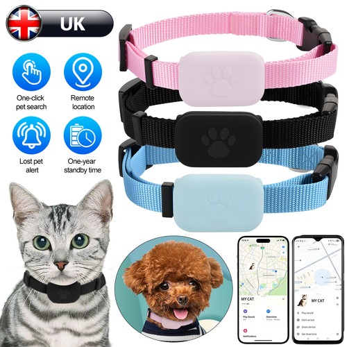 Pet gps tracker collar - dog, cat