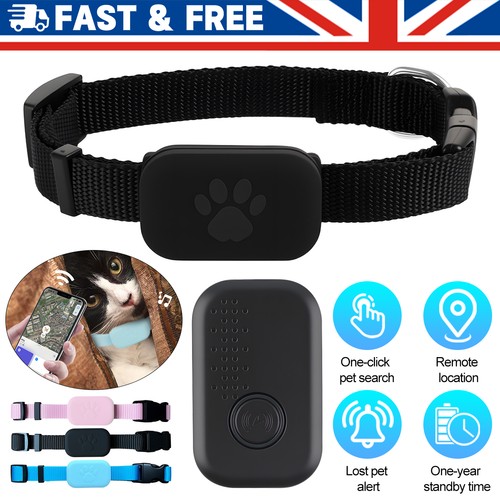 Pet gps tracker - pet, cat