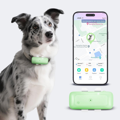 Dog tracker pet - tracker, gps