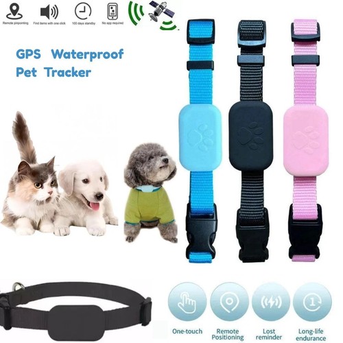 Smart waterproof pet - waterproof, gps