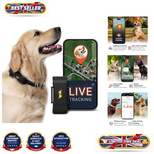 Real time gps dog tracker - dog,