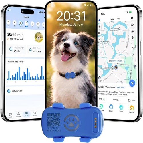 Gps pet collar live - gps,
