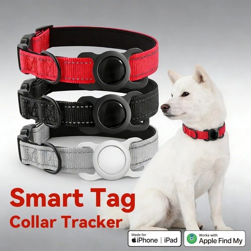 Cat dog tracker - /,
