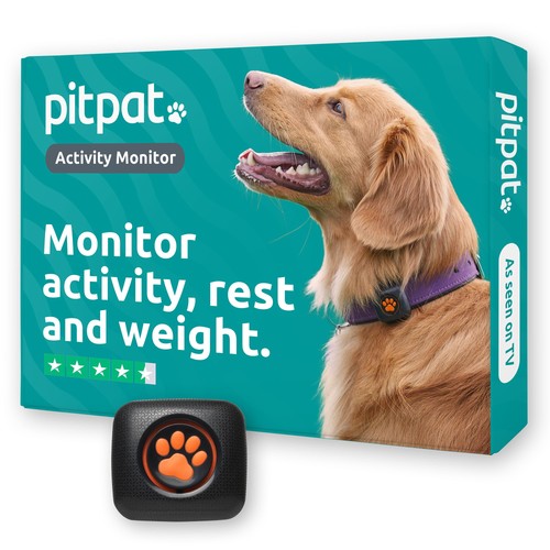 Dog activity and - activity,