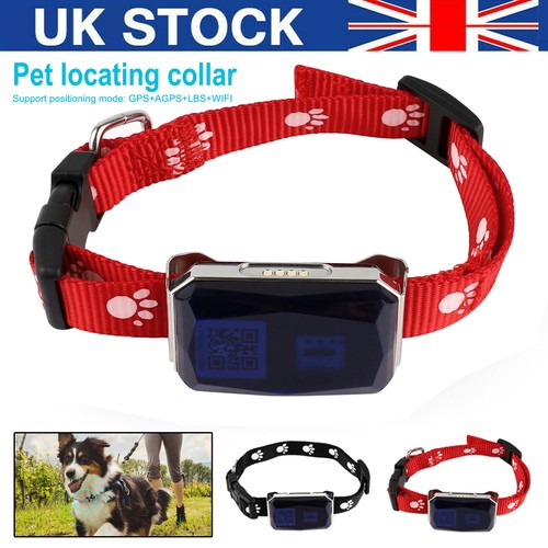 Pet gps tracker - gps, collar