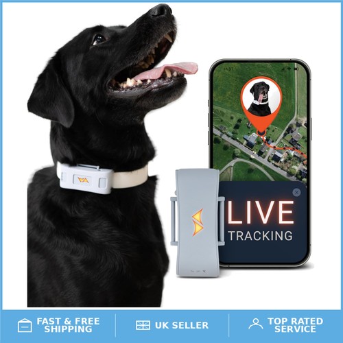 Real time gps dog tracker - dog, 4g