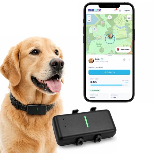 Dog tracker pro gps - dog, time